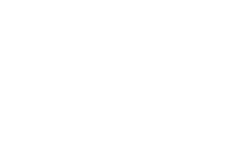 Scandservice logo