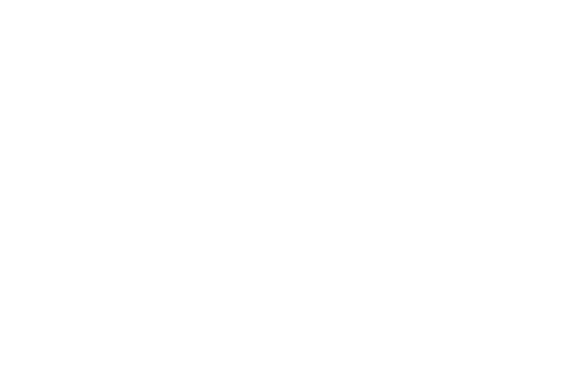 Scandservice logo
