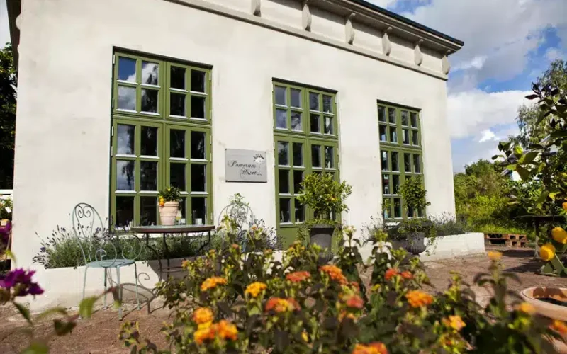 Fönsterbyte